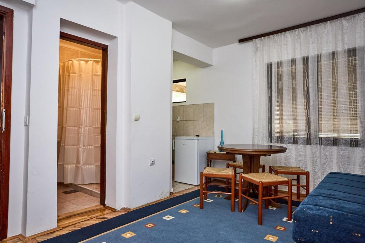 Apartmani Dr. Gasa Сокобаня Экстерьер фото