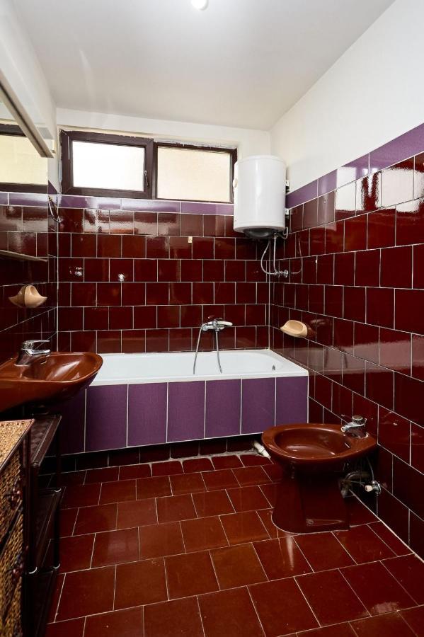 Apartmani Dr. Gasa Сокобаня Экстерьер фото